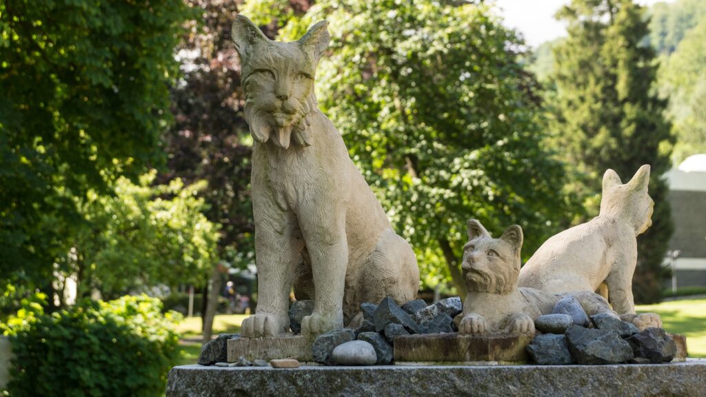 Bad Harzburg